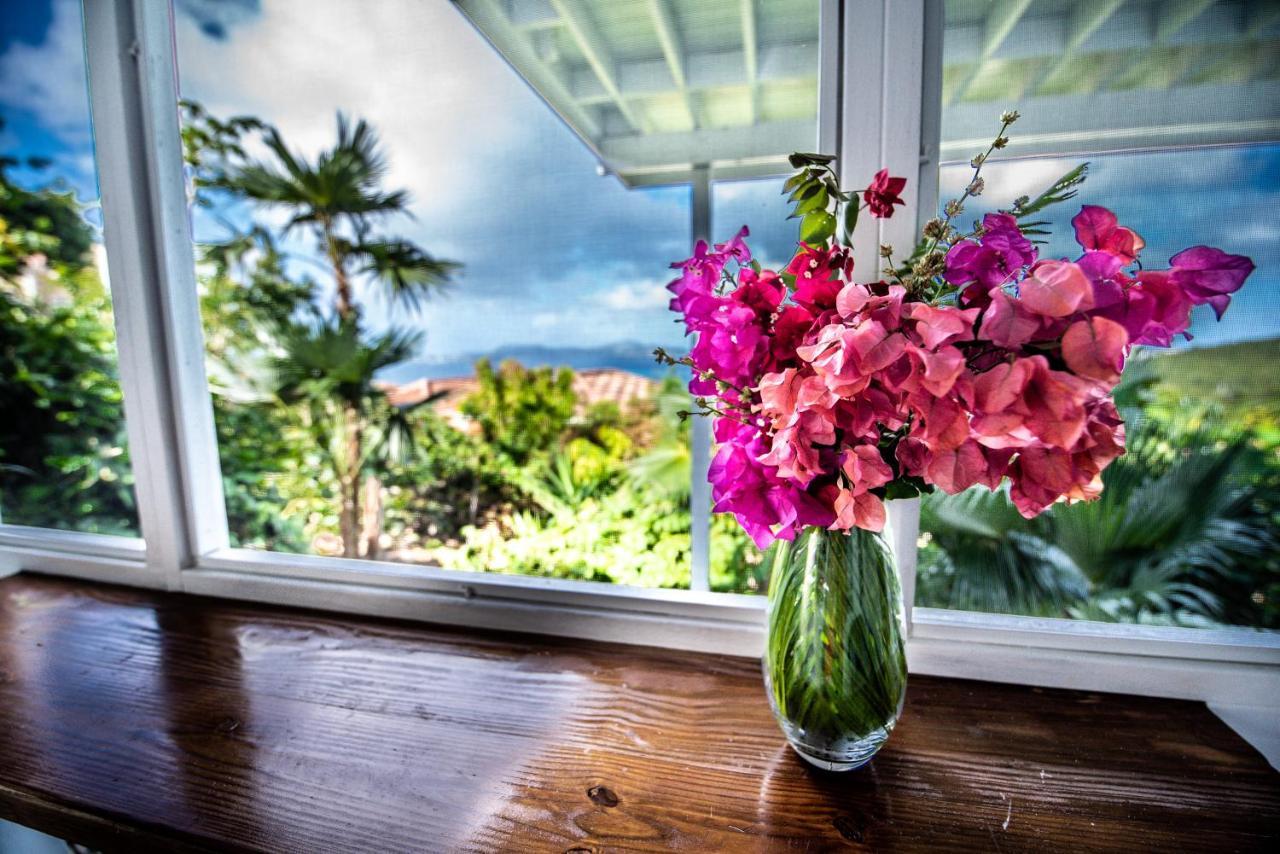 Papaya Suite At Sunset Serenade Cruz Bay Екстериор снимка